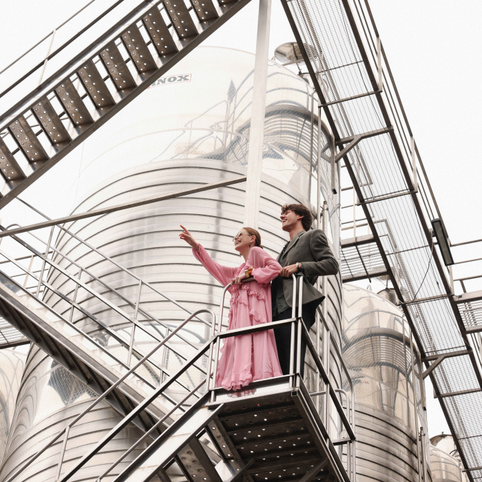 Экскурсия в Центр энологии Chateau Tamagne